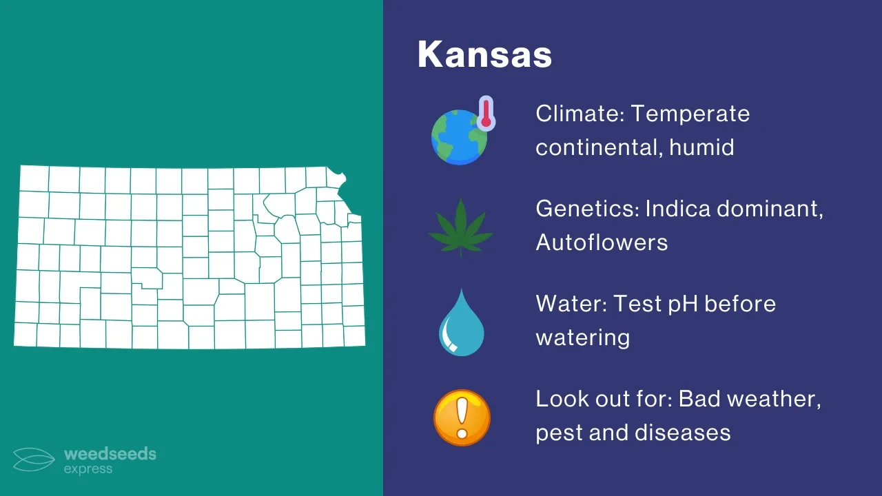 Cannabis Growing Climate in Kansas